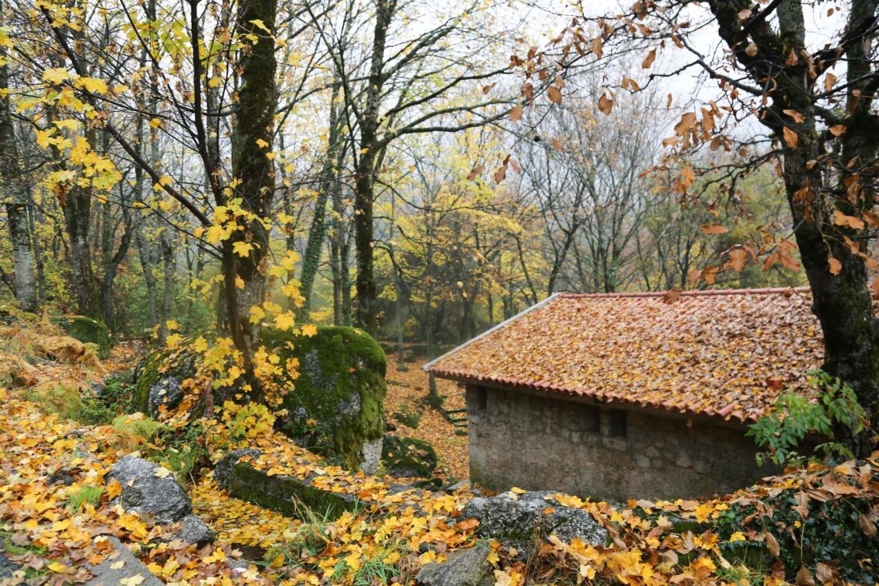 Hotel Inatel Manteigas Zewnętrze zdjęcie